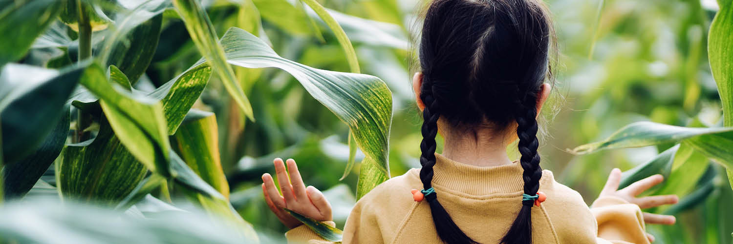 Child walking in long grass